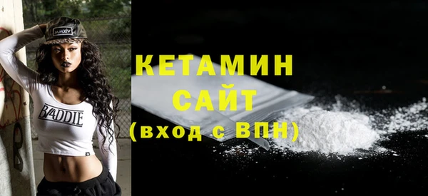 СК Алексин