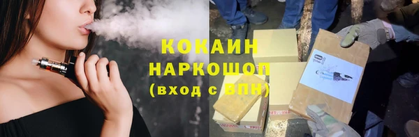 СК Алексин