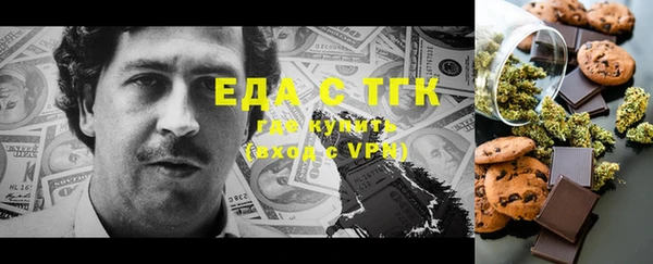 СК Алексин