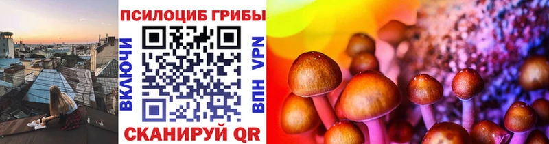 Галлюциногенные грибы Cubensis  Киселёвск 